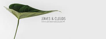 leaves and clouds